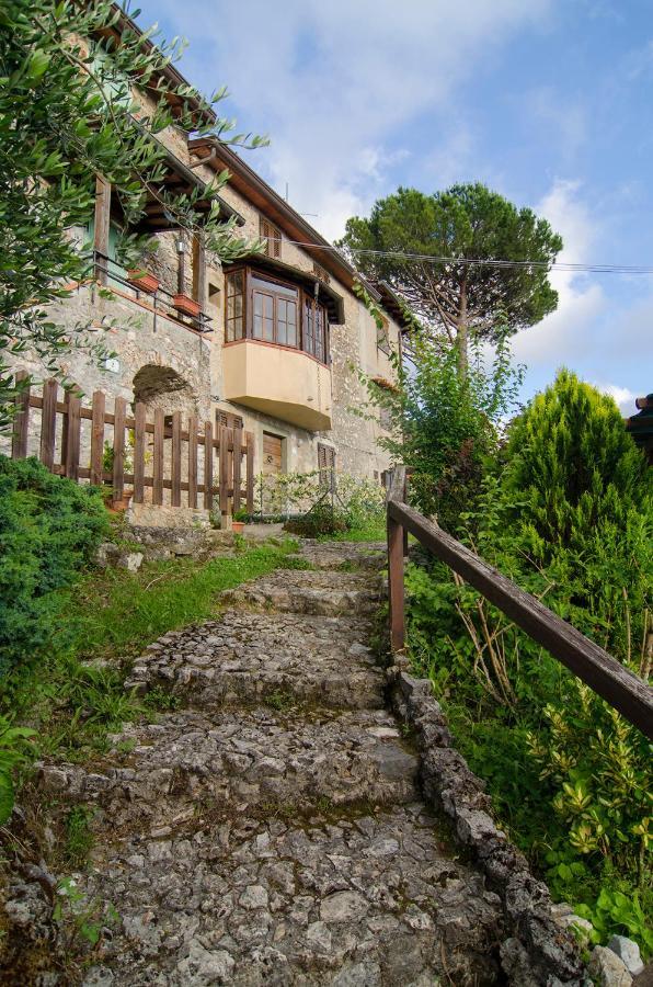 Casa Gelsomino Villa Камайоре Екстериор снимка