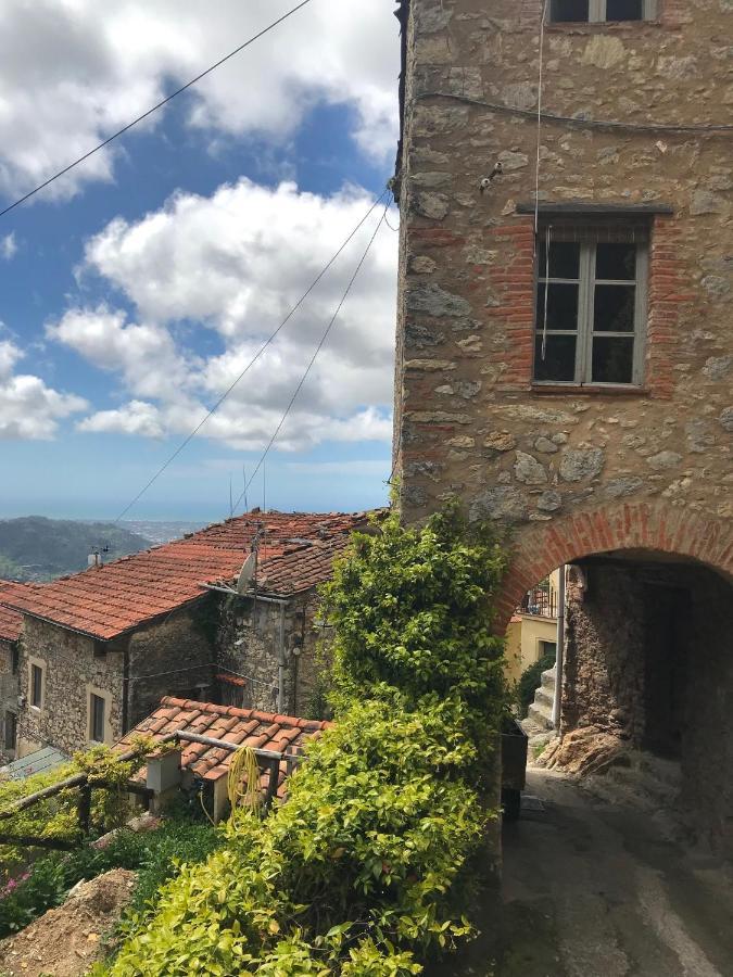 Casa Gelsomino Villa Камайоре Екстериор снимка